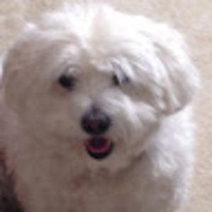 Meet your Posher, Tina